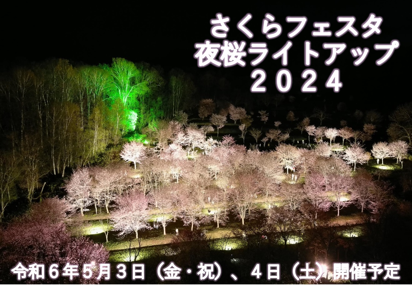 さくらフェスタ・夜桜ライトアップ2024